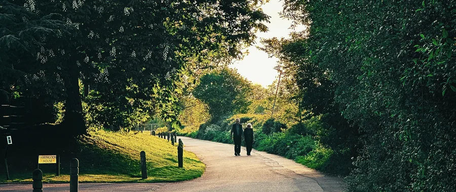 A long tree-lined avenue curving away between hedges.