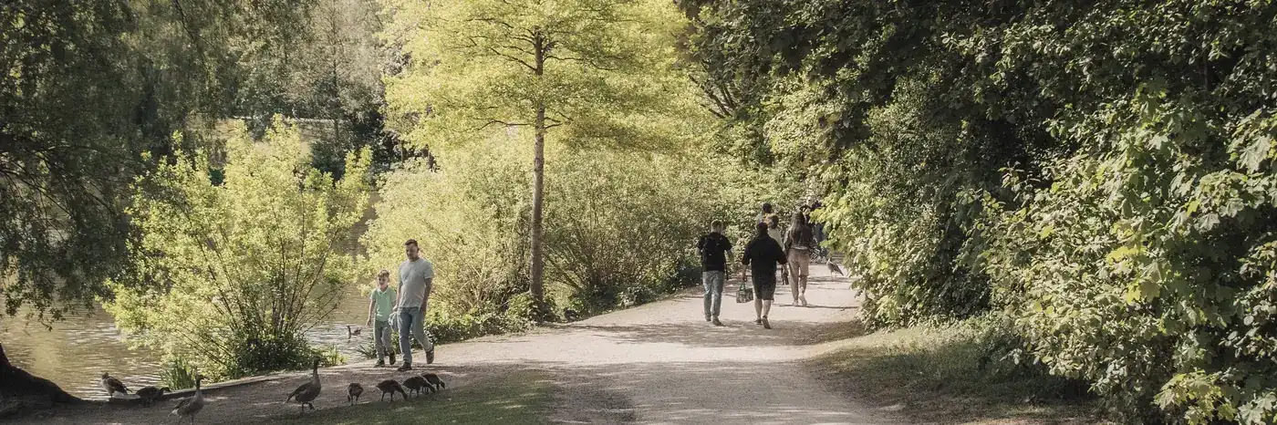 A broad park path under trees, dappled with afternoon light.